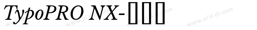 TypoPRO NX字体转换 TypoPRO NX字体转换